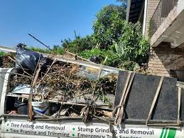 Best Moving and Downsizing Cleanouts  in Baltimore Highlands, MD